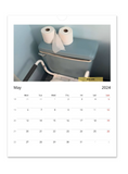 Things That Look Like Faces - 2024 Photo Wall Calendar