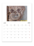 Things That Look Like Faces - 2024 Photo Wall Calendar